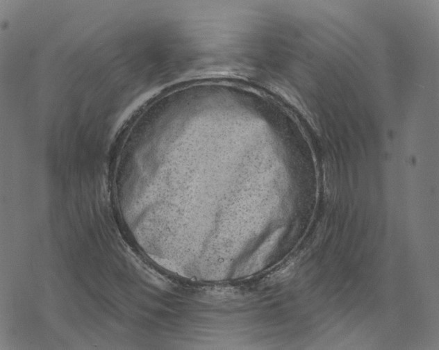 X0000073731452200608171217