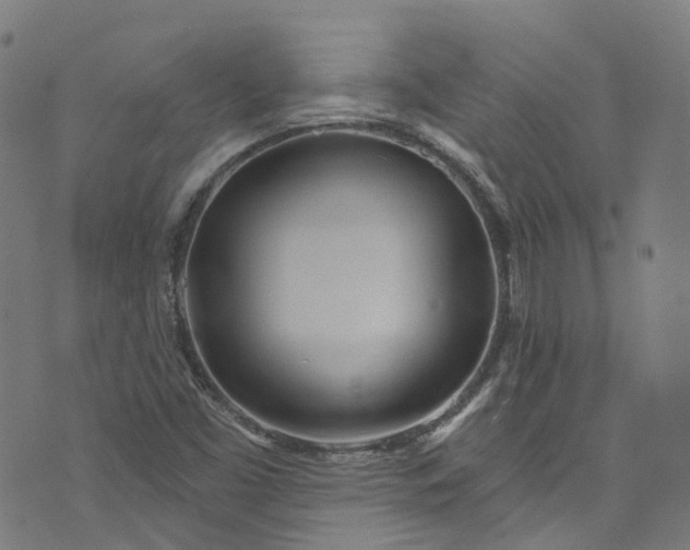 X0000073731453200608171217