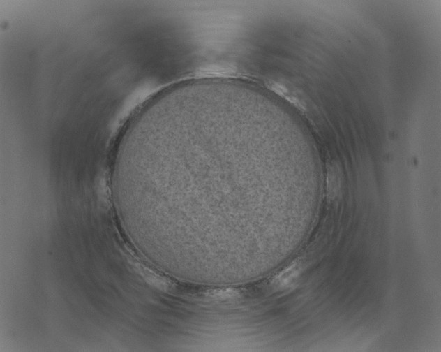 X0000073731454200608171217