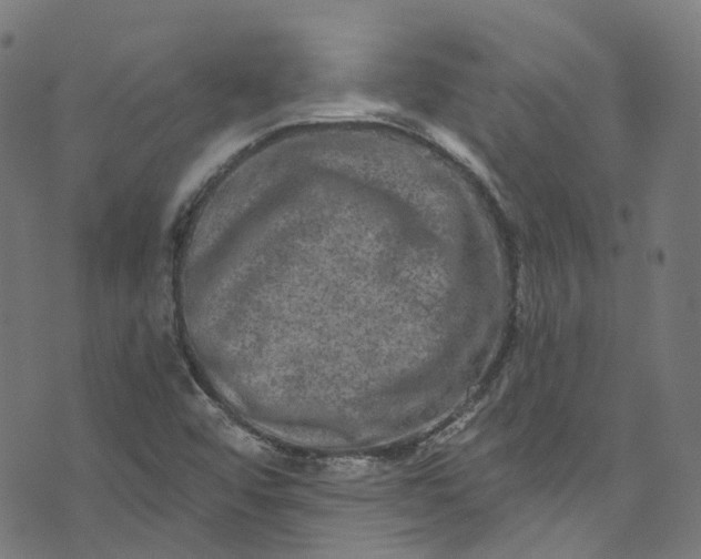 X0000073731456200608171216