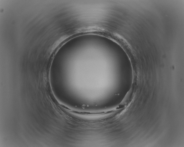 X0000073731457200608171216