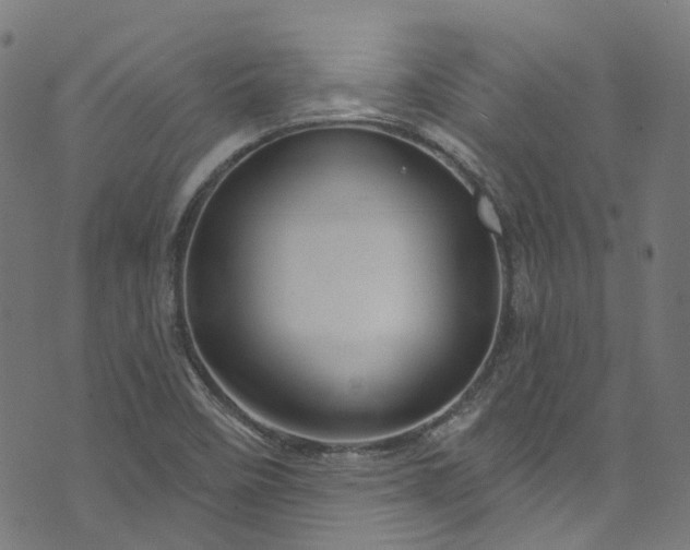 X0000073731458200608171216