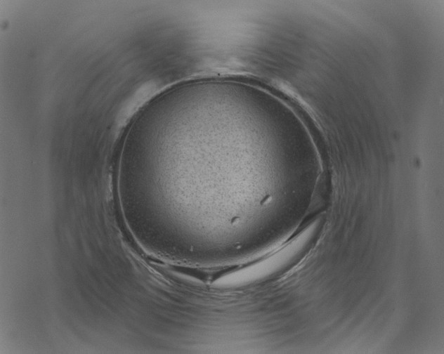 X0000073731459200608171216