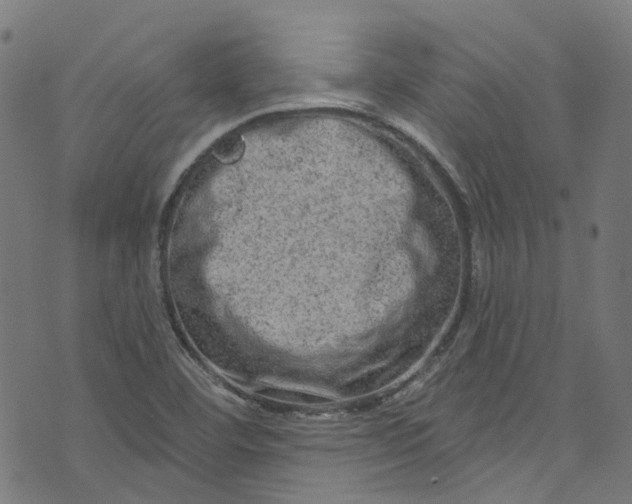 X0000073731460200608171216