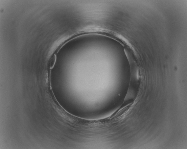 X0000073731461200608171216