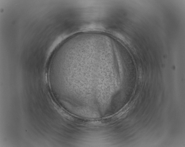 X0000073731462200608171216