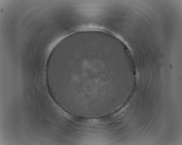 X0000073731463200608171216