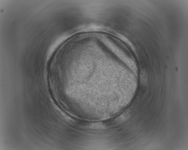 X0000073731464200608171216