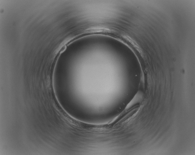 X0000073731465200608171216