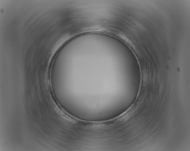 X0000073731466200608171216