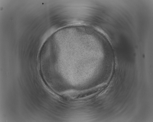 X0000073731467200608171216