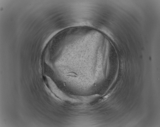 X0000073731468200608171216