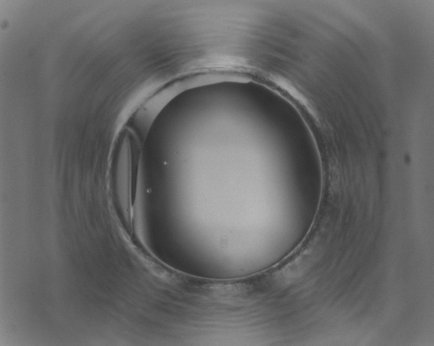 X0000073731469200608171216