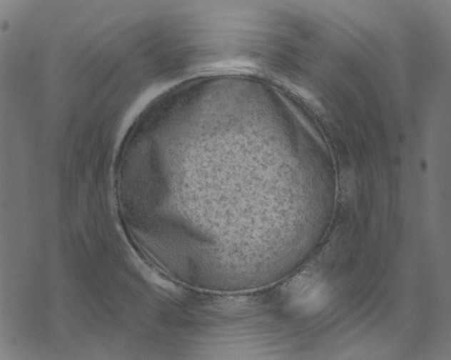 X0000073731470200608171216