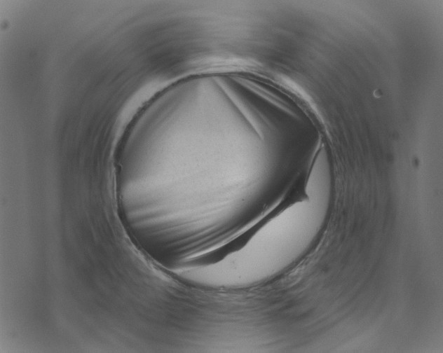 X0000073731472200608171216