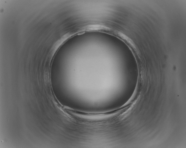 X0000073731473200608171216