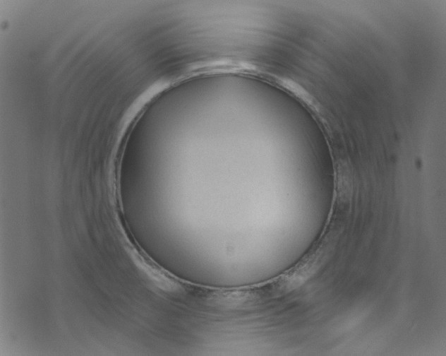 X0000073731474200608171216