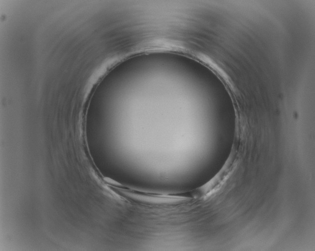 X0000073731477200608171216