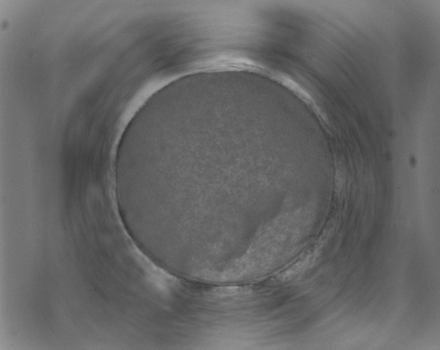 X0000073731478200608171216