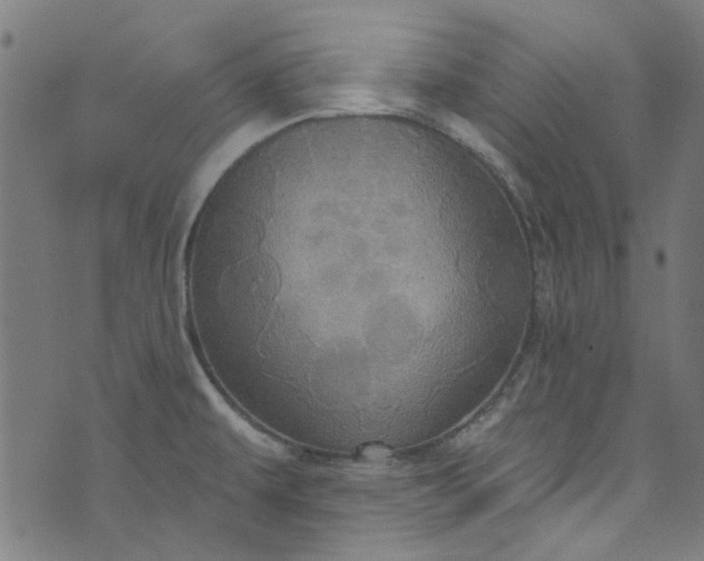 X0000073731479200608171216