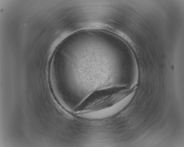 X0000073731480200608171216