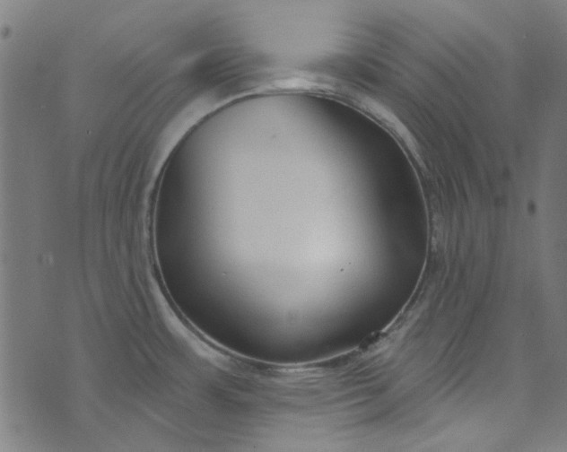 X0000073731483200608171216