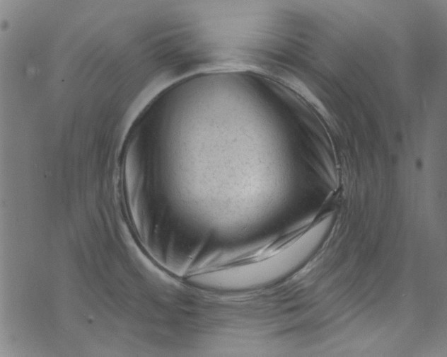 X0000073731484200608171216