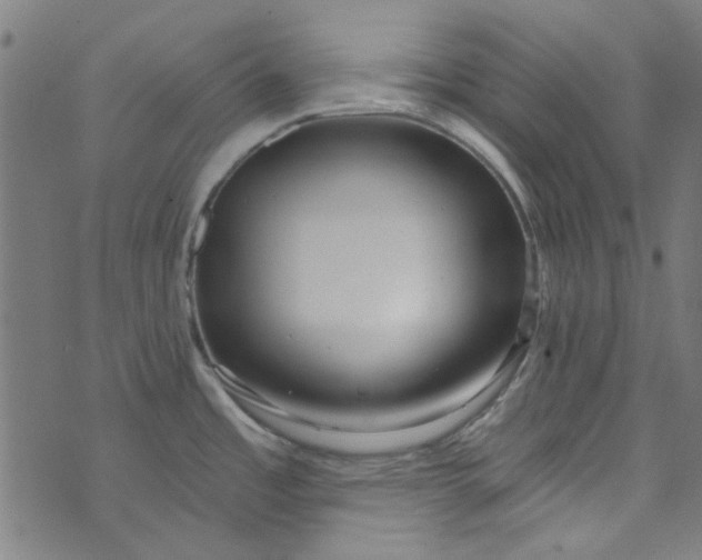 X0000073731485200608171216