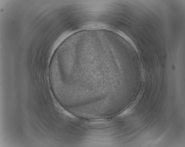 X0000073731486200608171216