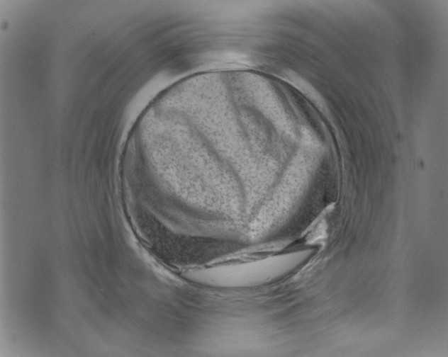 X0000073731488200608171216