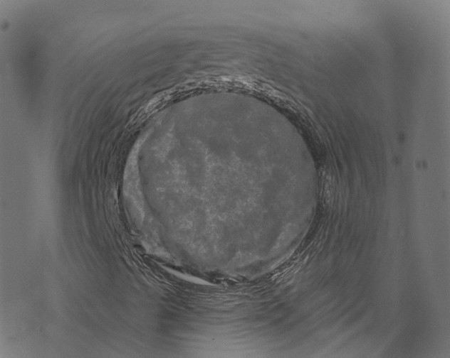 X0000073731489200608171215