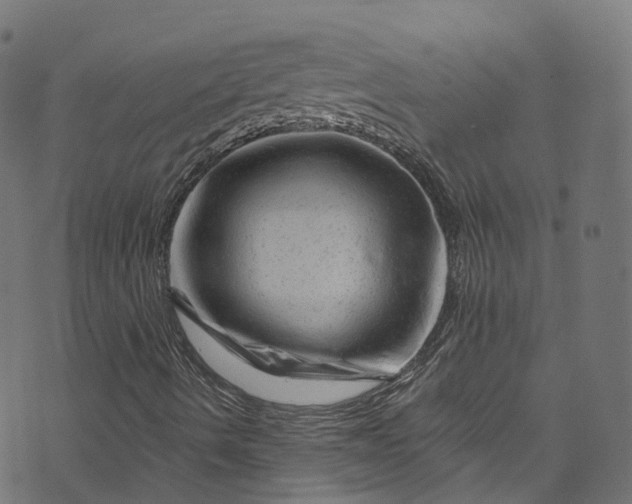 X0000073731490200608171215