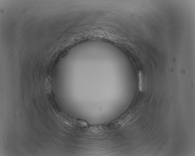 X0000073731491200608171215