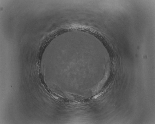 X0000073731493200608171215