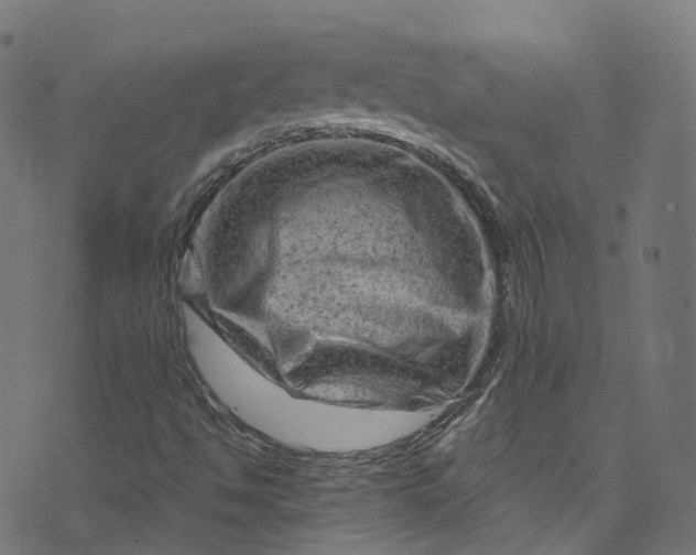 X0000073731494200608171215