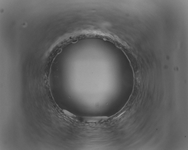 X0000073731495200608171215