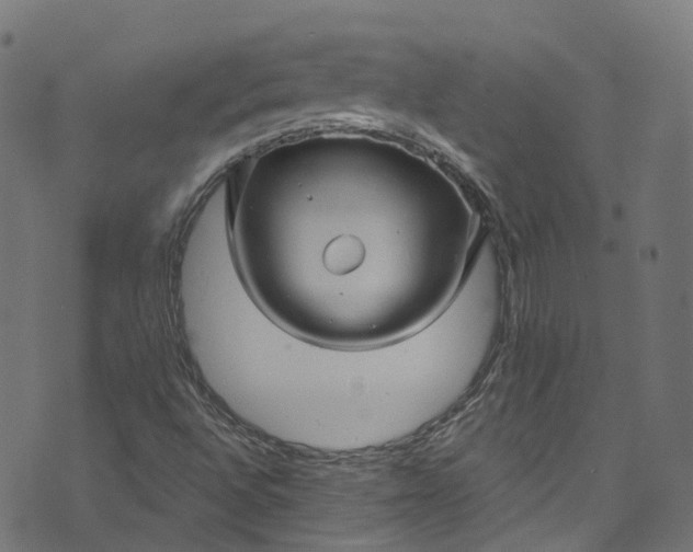 X0000073731496200608171215