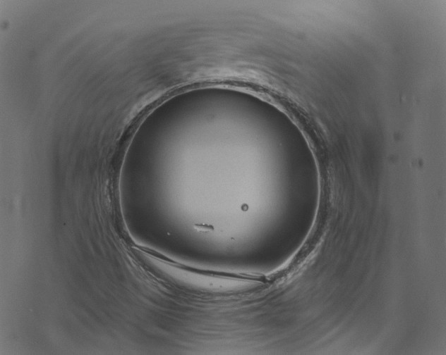 X0000073731497200608171215