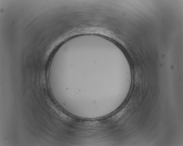 X0000073731498200608171215