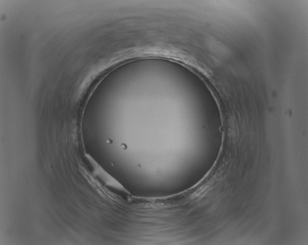 X0000073731499200608171215