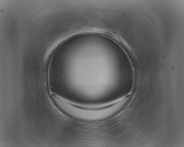 X0000073731504200608171215