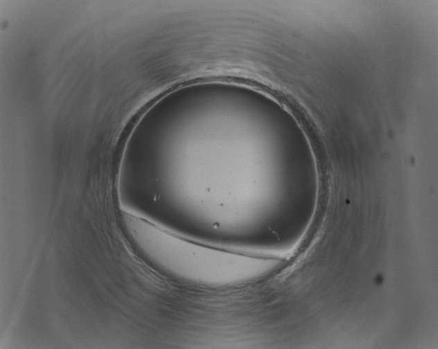 X0000073731505200608171215