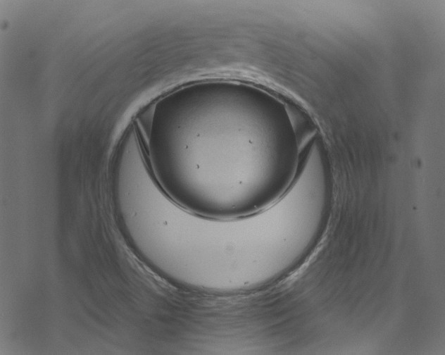 X0000073731506200608171215