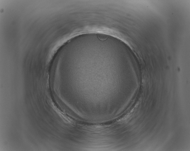 X0000073731507200608171215