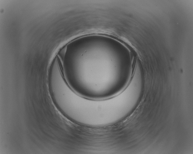 X0000073731508200608171215