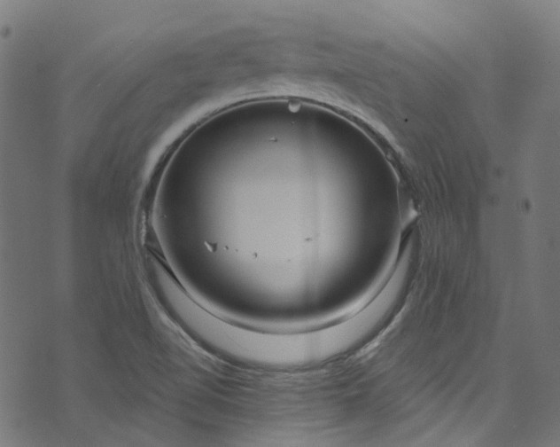 X0000073731510200608171216