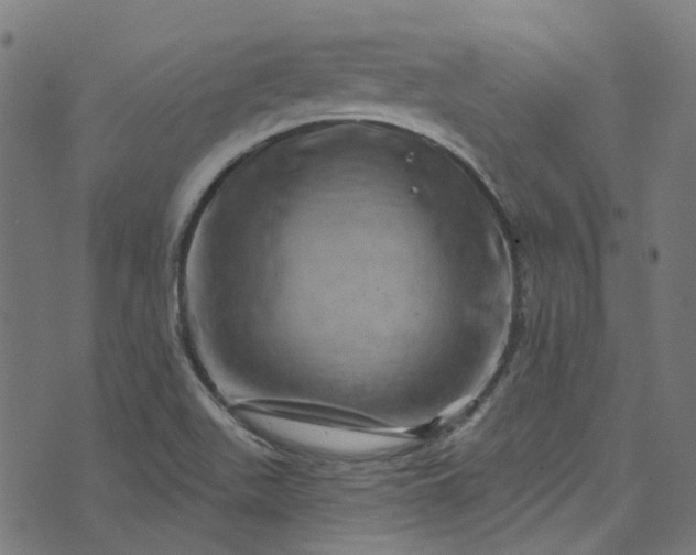 X0000073731511200608171216