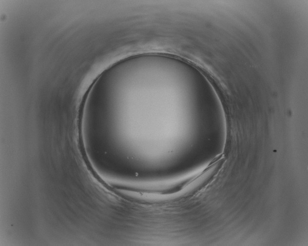 X0000073731512200608171216