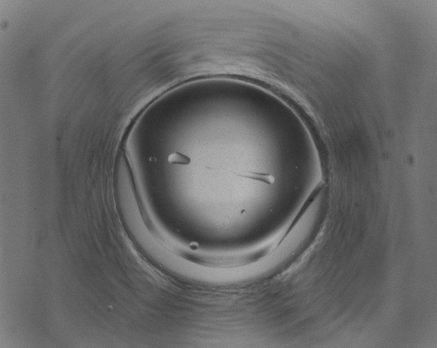 X0000073731513200608171216