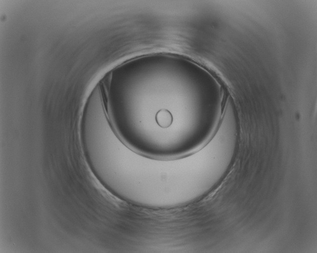 X0000073731516200608171216